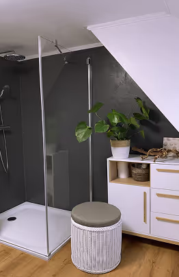 Modern bathroom corner with a glass shower enclosure, white wicker stool, white cabinet with drawers, and a potted green plant.